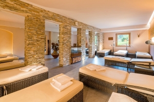 Spa and Wellness 