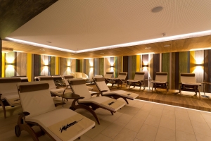 Spa and wellness 