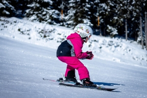 Miscellaneous|skiing-6035709_1920.jpg 