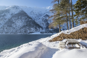 Landscape © Achensee Tourismus