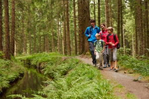 Landscape © Harzer Tourismusberband M. Gloger