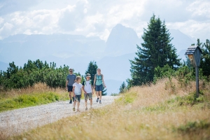 Landscape © IDM Südtirol–Alto Adige/Harald Wisthaler